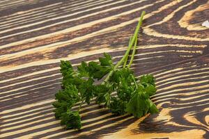 Green parsley leaves heap isolated photo