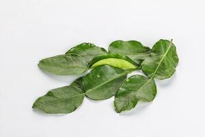 Aroma seasoning kaffir lime leaves photo