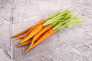 Young raw carrot heap isolated photo