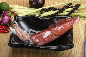 Raw fresh squid for cooking photo