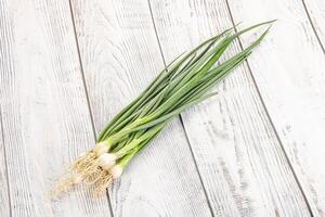 Young aroma fresh green onion photo