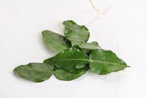 Aroma seasoning kaffir lime leaves photo