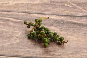 Green pepper corn heap isolated photo