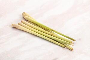 Green lemongrass stem aroma seasoning photo