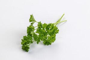 Green parsley leaves heap isolated photo