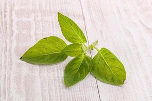 Raw green basil leaves seasoning photo