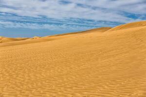 Maspalomas Duna - Desert in Canary island Gran Canaria photo