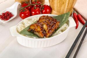 Grilled eel with steamed rice photo