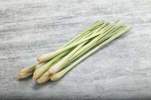 Lemongrass - Asian aroma plant for cooking photo