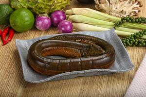 Fresh raw uncooked eel for grill photo