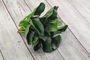 Ripe green spinach leaves heap photo