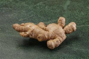 Ginger root for cooking and medicine photo