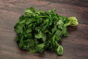 Fresh green cilantro branches heap photo