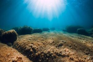 submarino ver con piedras y algas marinas en transparente mar. luz de sol en Oceano foto