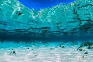 Tropical turquoise ocean with sandy bottom underwater in Bahamas photo