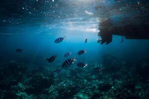 Underwater scene with fish, bottom of boat with sunlight in blue ocean photo