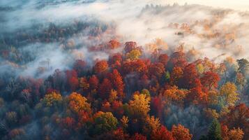 aéreo ver de brumoso otoño bosque, nubes mezcla con el natural paisaje foto