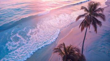 Palm trees by the waters edge, waves crashing at sunset photo