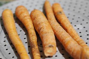 carrots from the garden near the house photo