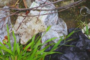 Image of rubbish scattered in the park photo