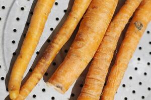 carrots from the garden near the house photo