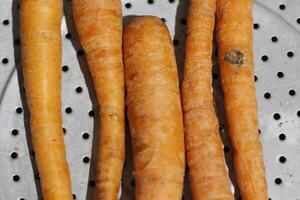 carrots from the garden near the house photo