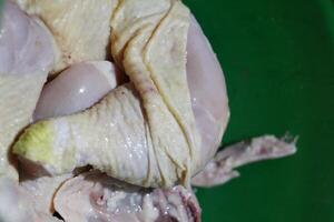 image of raw chicken meat photo