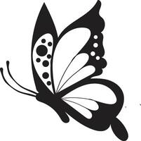 beautiful butterfly outline illustration vector