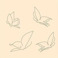 Butterfly outline with drawn details collection vector