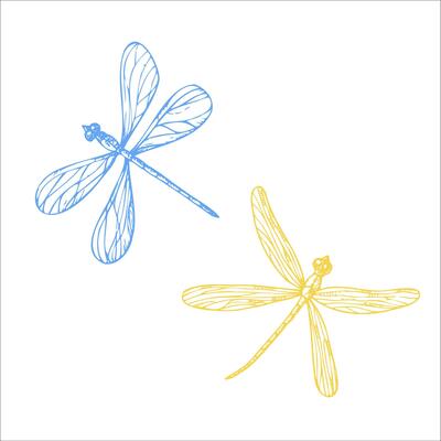 cute dragonflies. Hand painted linear insects. Graphic clipart isolated on background. Botanical and wedding illustration. For designers, invitations, decoration, postcards, wrapping paper