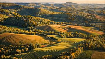 Autumn Harmony. Sunset Over Undulating Hills photo