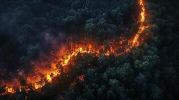 Aerial view of night forest fire heat, darkness, pollution, and fire photo