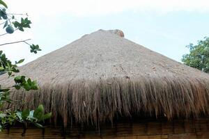 Bamboo house, natural wood Eco house, texture, art tree in the tropics photo