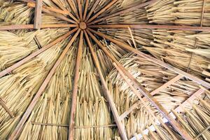 Bamboo house, natural wood Eco house, texture, art tree in the tropics photo