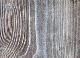 Light wood background, wood texture photo