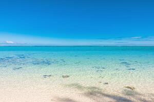 Tropical scenery - beach with transparent ocean and blue sky of Mauritius photo