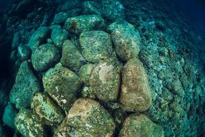 Tranquil underwater scene with copy space. Tropical transparent sea photo