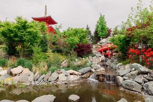 Japanese asian garden in Krasnodar Galitsky park. Traditional park with pond photo