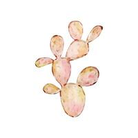 Watercolor cactus, desert mexican plants vector