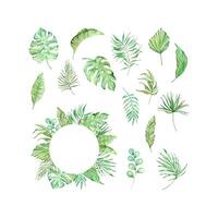 Watercolor tropical green leaves frame vector