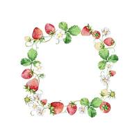 Watercolor strawberries wreath, red berries vector