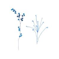 Blue watercolor small berries on a branch set vector