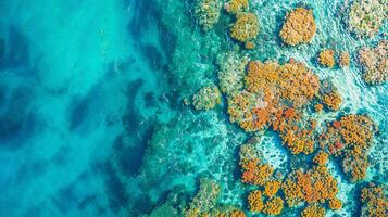 Underwater art Electric blue coral reef pattern creating mesmerizing aqua view photo