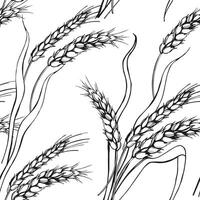 seamless pattern of ears of wheat, hand drawn branches of wheat, agriculture theme, black and white sketch of harvest theme isolated on white background vector