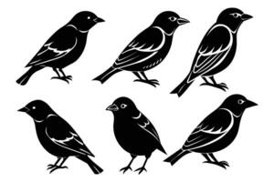set of silhouettes of birds, solid white background vector