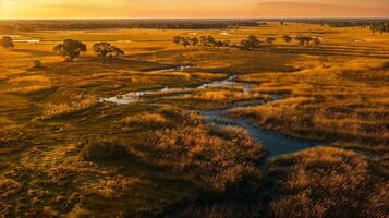 Aerial perspective of river flowing through sunsetlit grassland plain photo