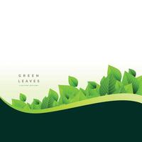 stylish green leaves eco background vector