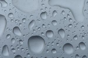 water drops rain droplets rainy fog droplets rainy drop transparent fizz 4 photo