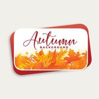 autumn background design with fall leaves vector