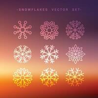 winter snow flakes collection vector